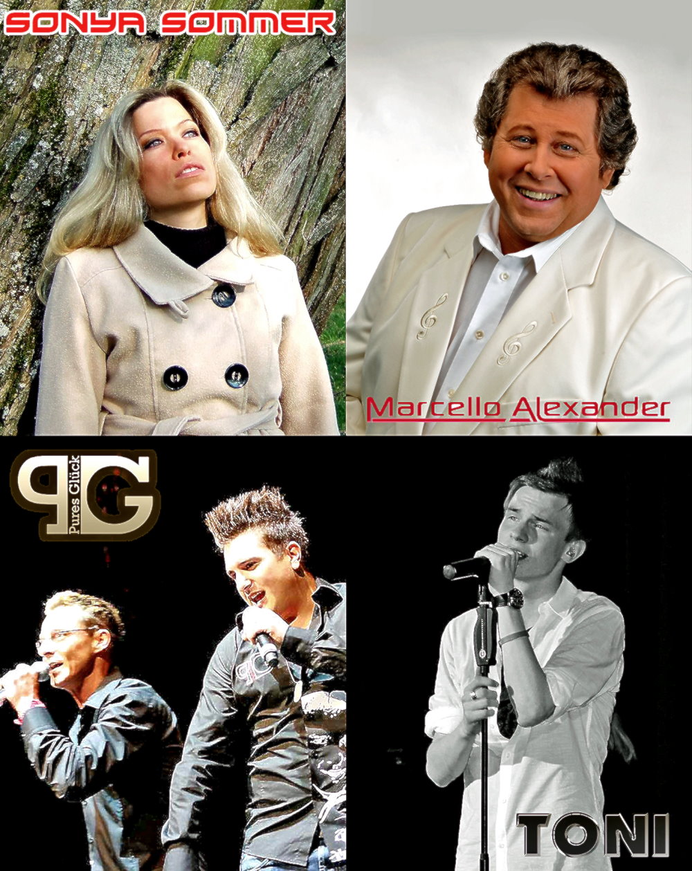 Casting Portal News | Deutschmusik Song Contest: Die Gewinner 2014